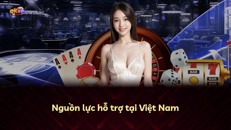 Nguồn lực hỗ trợ tại Việt Nam