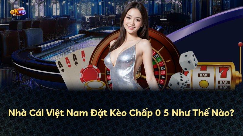 Nhà Cái Việt Nam Đặt Kèo Chấp 0 5 Như Thế Nào?