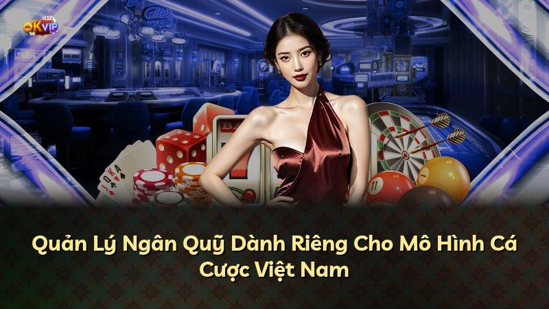 Quản Lý Ngân Quỹ Dành Riêng Cho Mô Hình Cá Cược Việt Nam