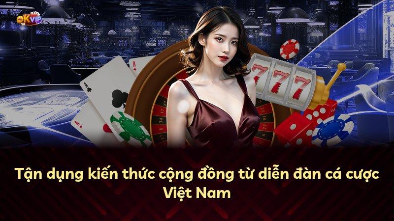 Tận dụng kiến thức cộng đồng từ diễn đàn cá cược Việt Nam