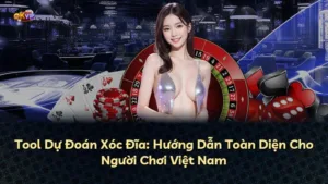 Tool Dự Đoán Xóc Đĩa: Hướng Dẫn Toàn Diện Cho Người Chơi Việt Nam